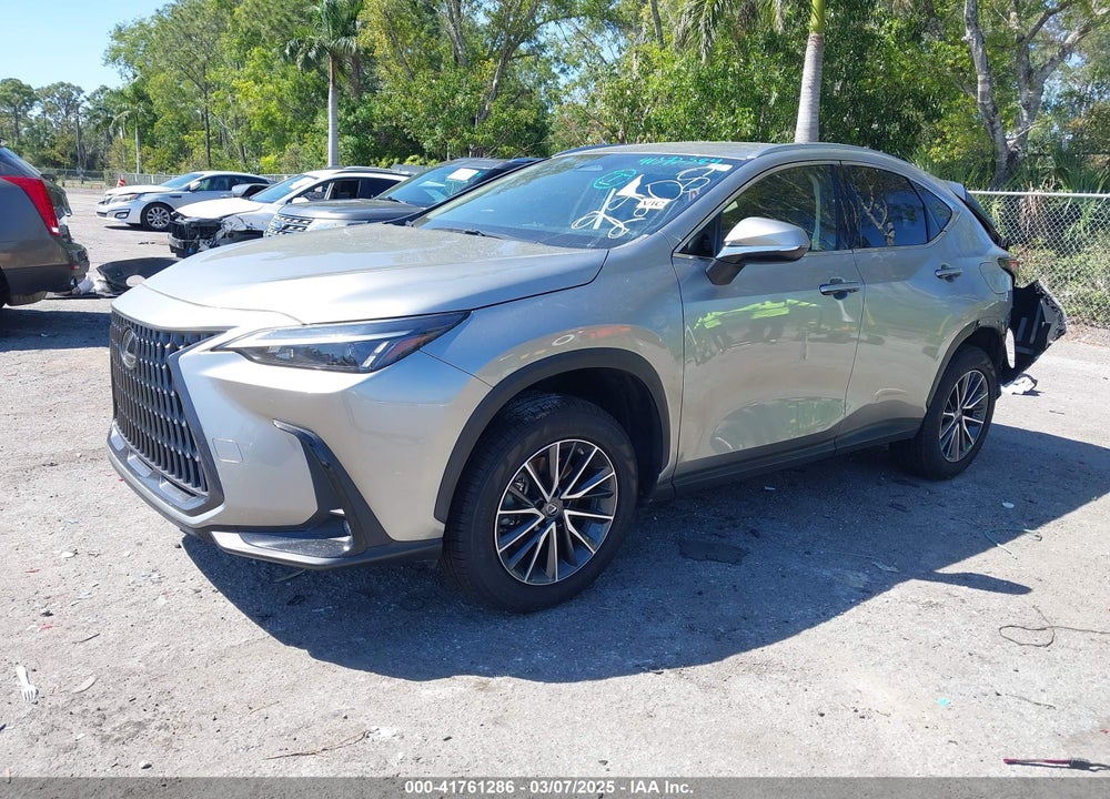 2022 LEXUS NX 250 VIN: JTJADCAZ1N5002208