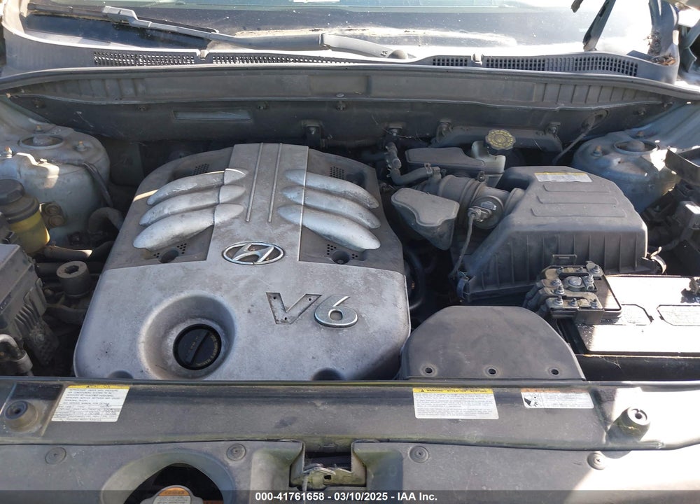 2007 HYUNDAI VERACRUZ VIN: KM8NU13C67U007362