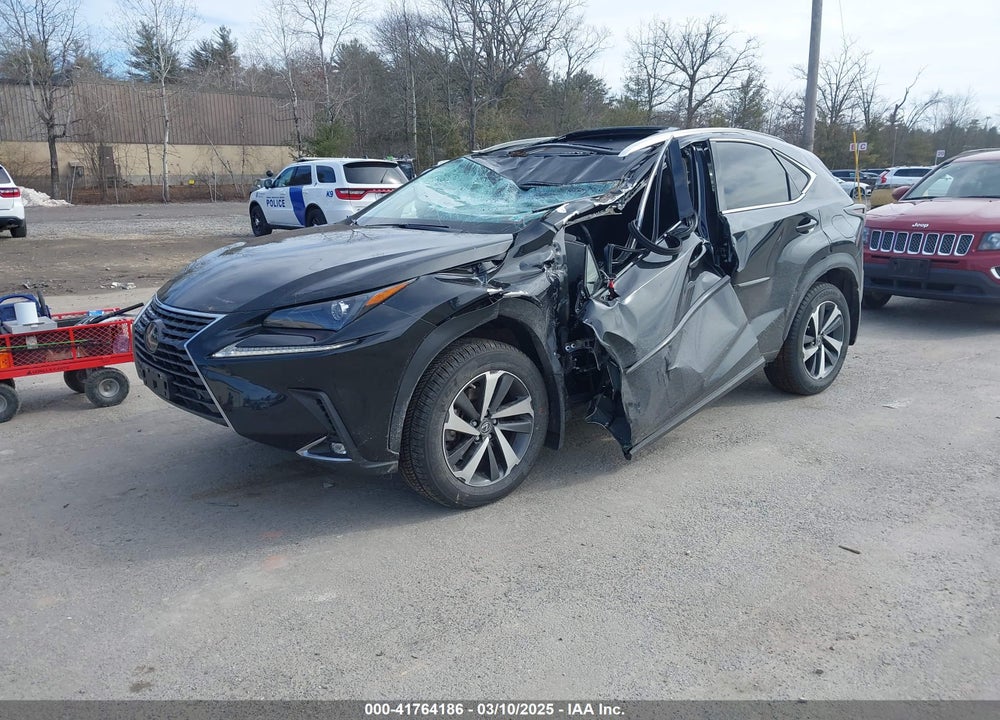 2021 LEXUS NX 300 VIN: JTJGARDZ3M2252700