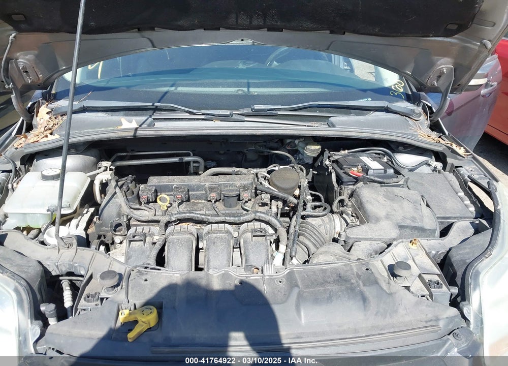 2013 FORD FOCUS VIN: 1FADP3K21DL341530