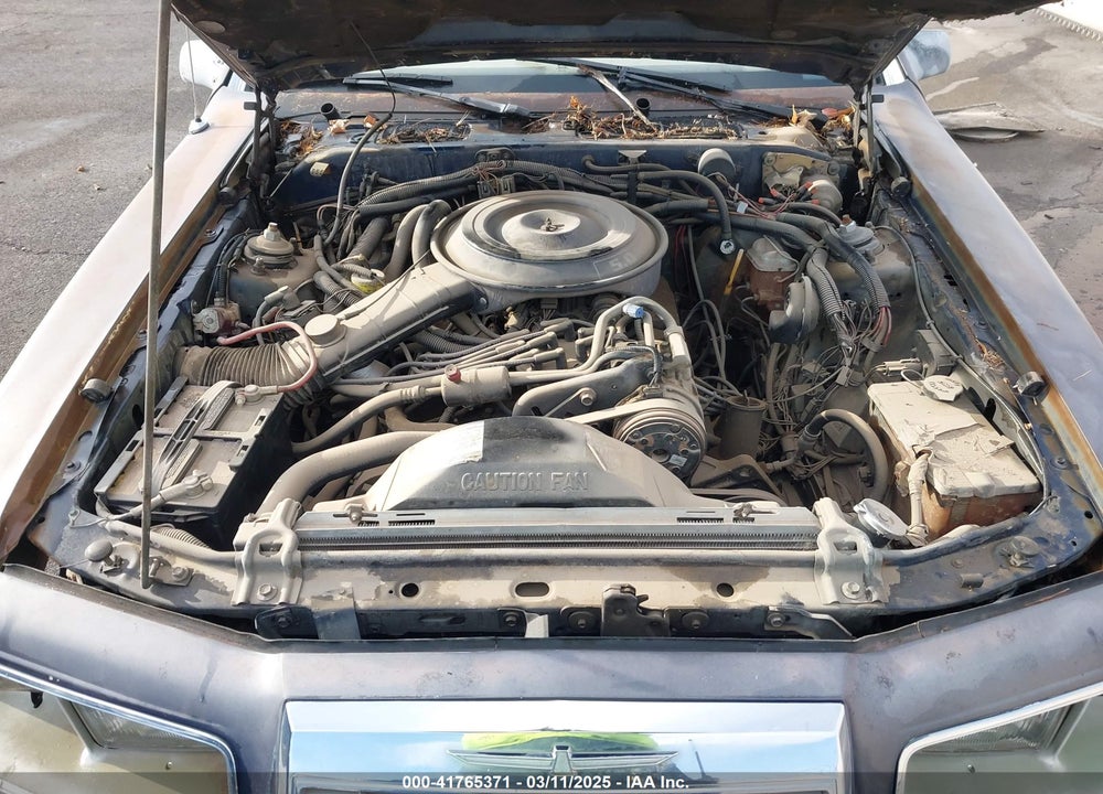 1983 FORD THUNDERBIRD VIN: 1FABP46F4DH130206