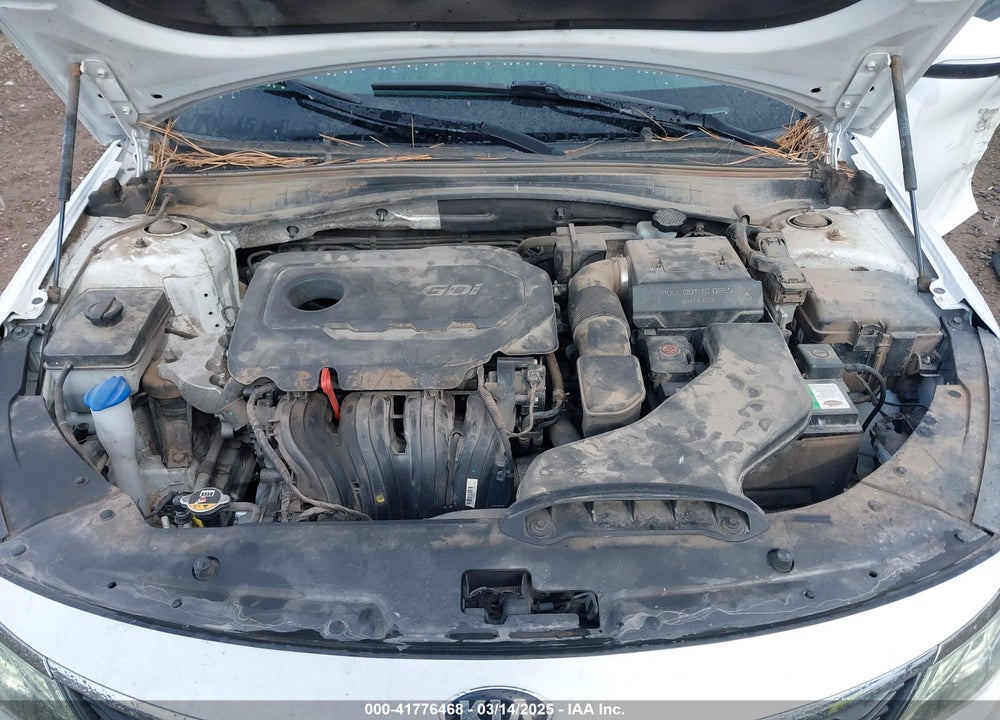 2019 KIA OPTIMA VIN: 5XXGT4L36KG371992