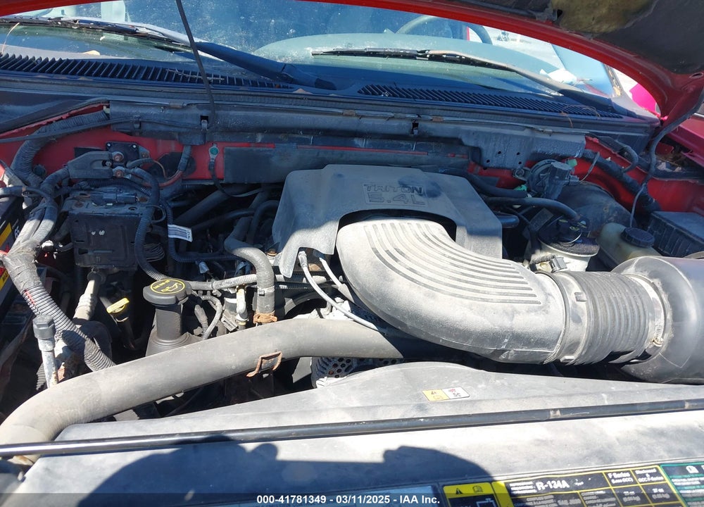 2003 FORD F-150 LARIAT/XL/XLT VIN: 2FTRX18L13CA49907