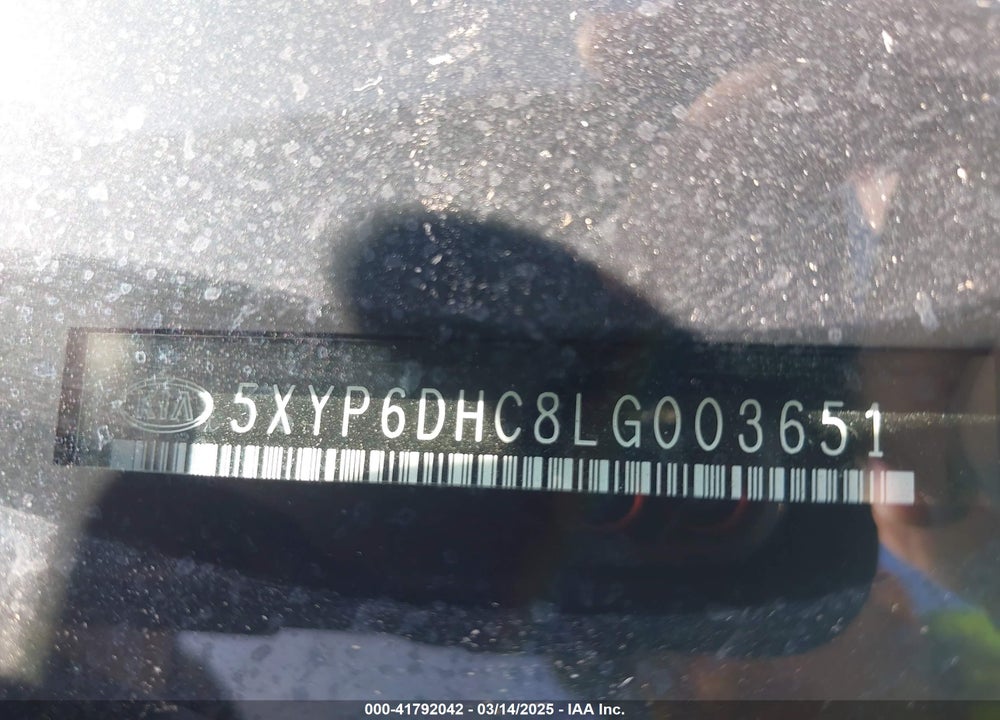 2020 KIA TELLURIDE VIN: 5XYP6DHC8LG003651