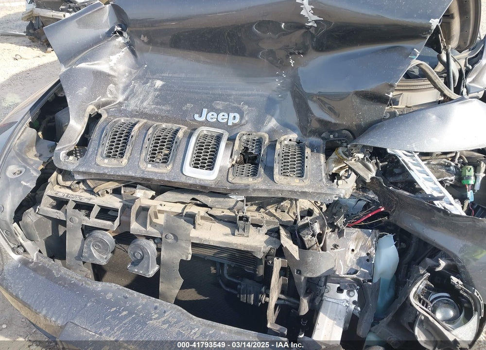 2016 JEEP CHEROKEE VIN: 1C4PJLDB1GW272654