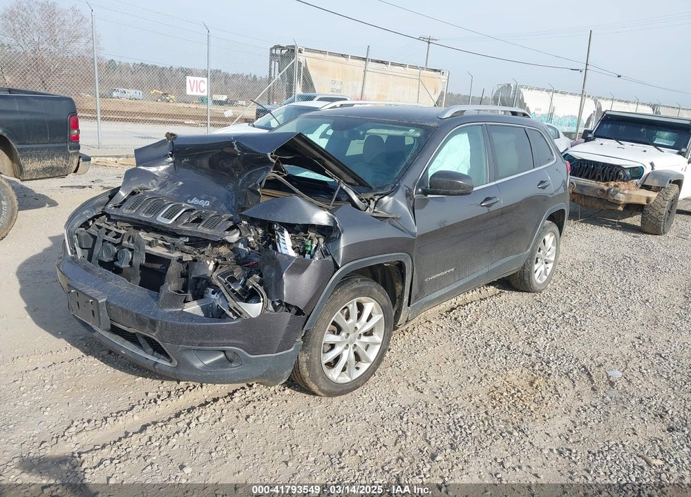 2016 JEEP CHEROKEE VIN: 1C4PJLDB1GW272654