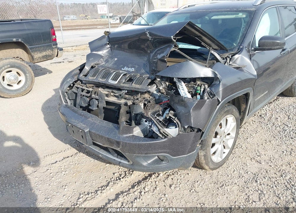 2016 JEEP CHEROKEE VIN: 1C4PJLDB1GW272654