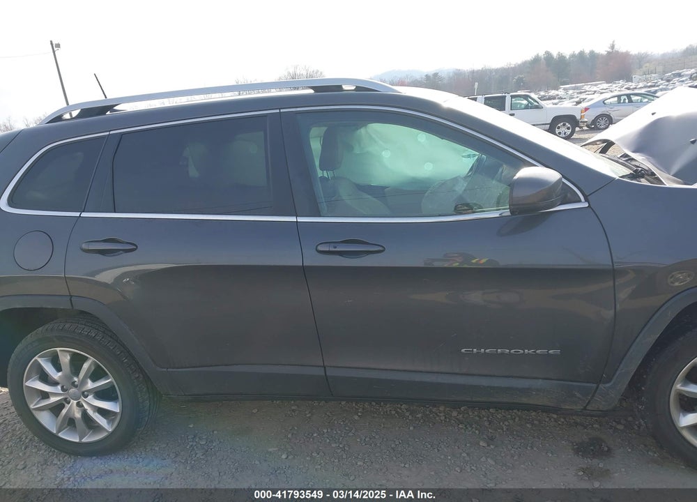 2016 JEEP CHEROKEE VIN: 1C4PJLDB1GW272654