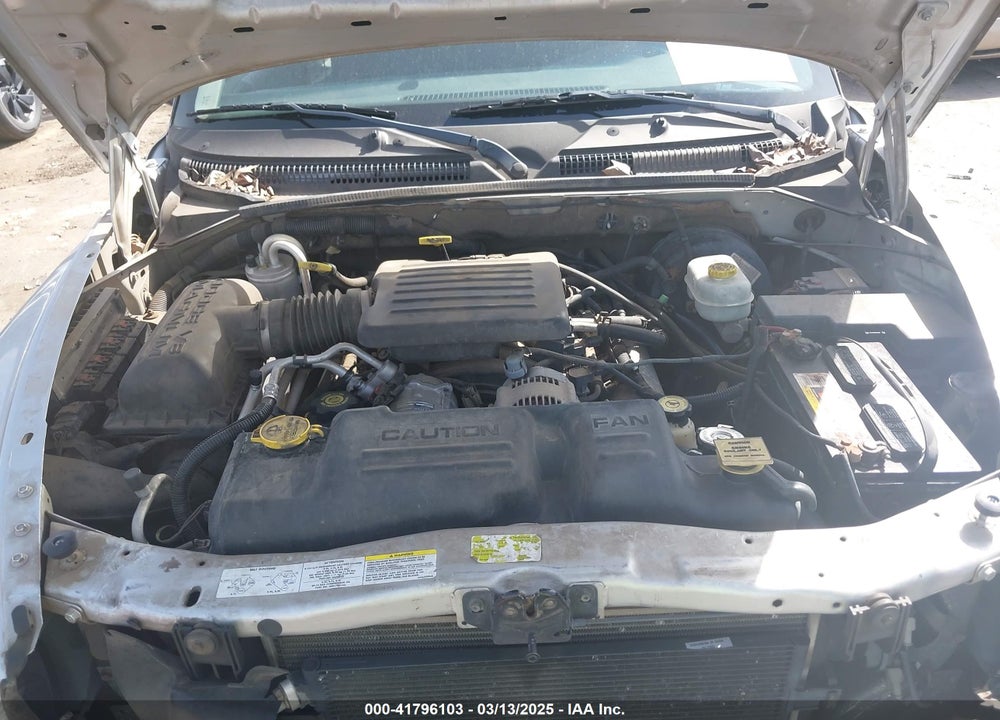 2003 DODGE DAKOTA VIN: 1D7HL48N83S236590