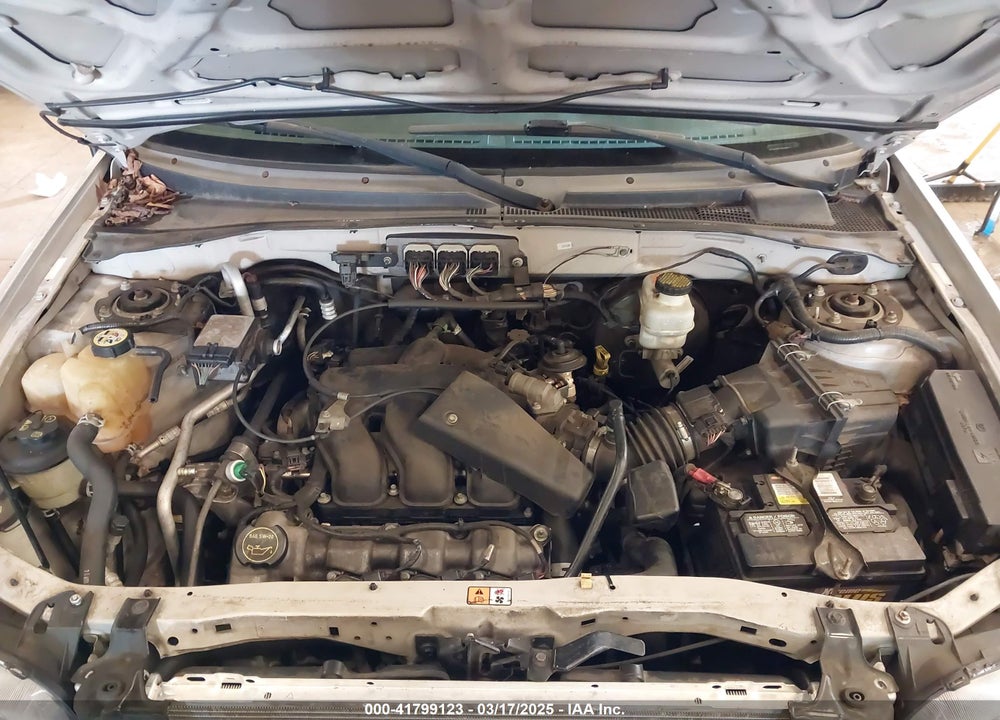 2007 FORD ESCAPE XLT/XLT SPORT VIN: 1FMCU03137KB06555