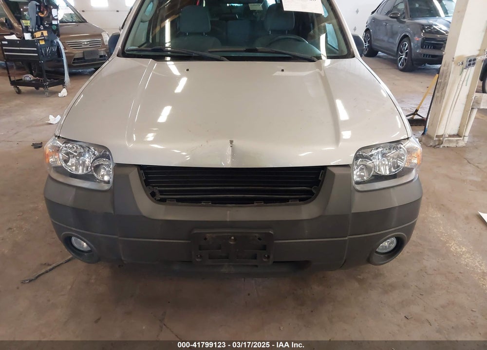 2007 FORD ESCAPE XLT/XLT SPORT VIN: 1FMCU03137KB06555
