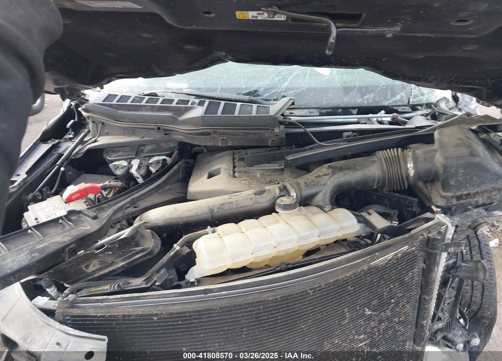 2021 FORD F-150 XLT VIN: 1FTFW1E8XMFB00557