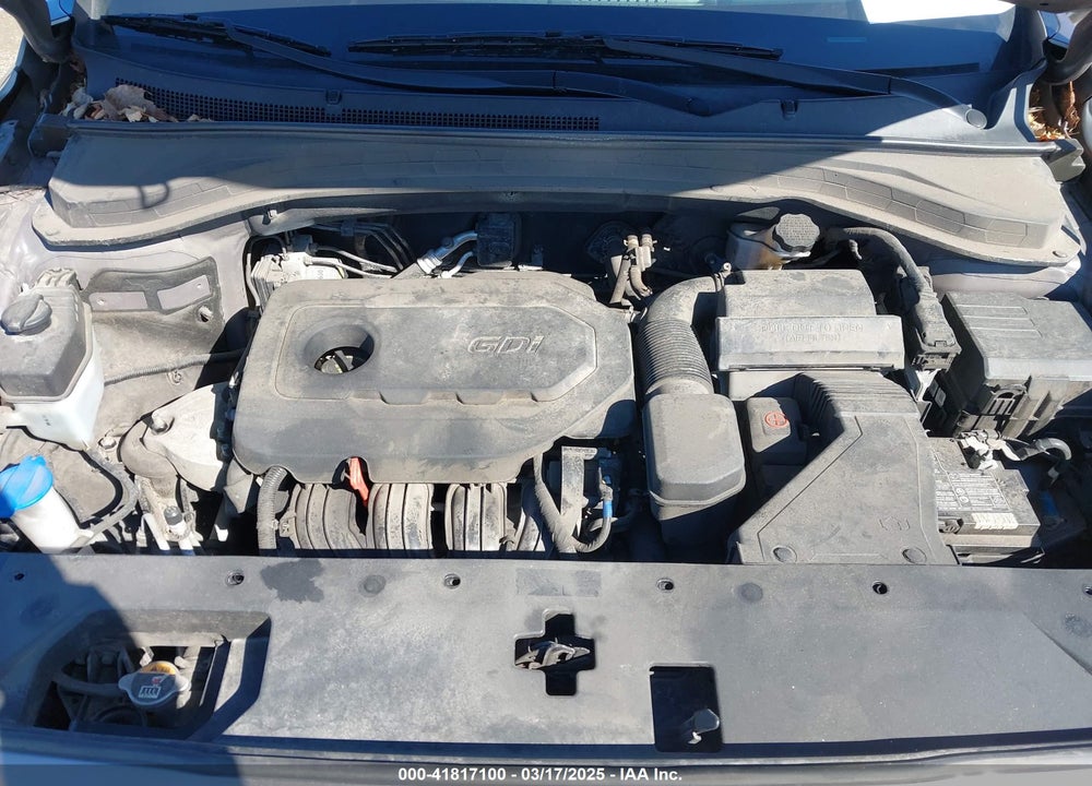 2019 HYUNDAI SANTA FE VIN: 5NMS2CAD0KH117649
