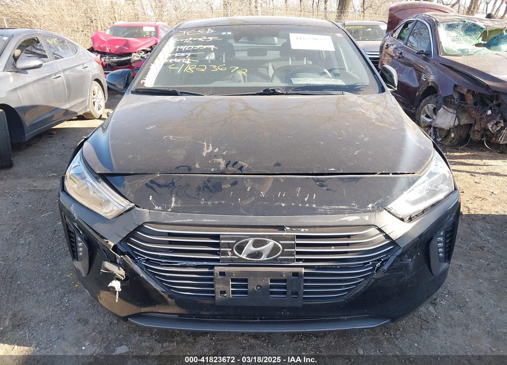 2019 HYUNDAI IONIQ HYBRID VIN: KMHC75LC1KU140559