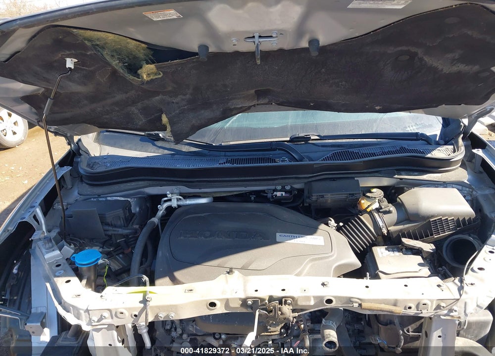 2019 HONDA PILOT EX-L VIN: 5FNYF6H56KB091932