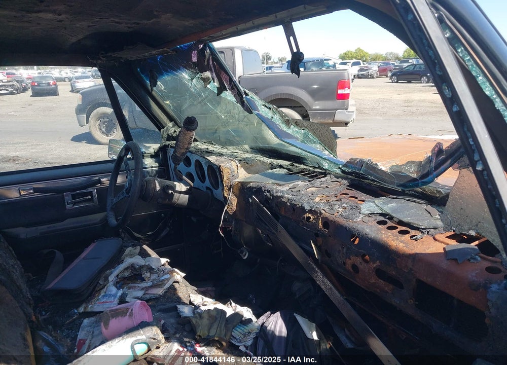 1981 CHEVROLET C10 VIN: 1GCDC14F8BZ100780