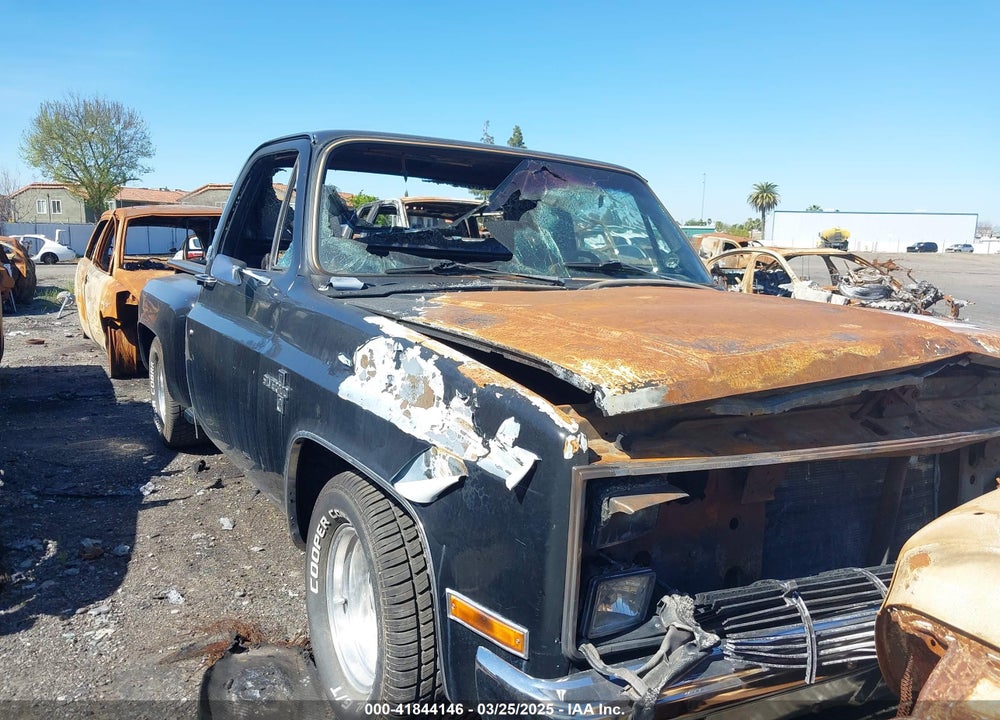 1981 CHEVROLET C10 VIN: 1GCDC14F8BZ100780