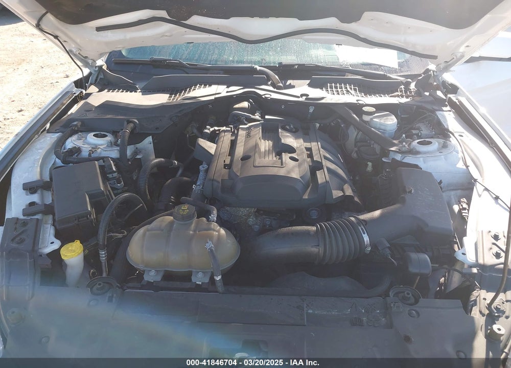2019 FORD MUSTANG VIN: 1FATP8UH8K5162526