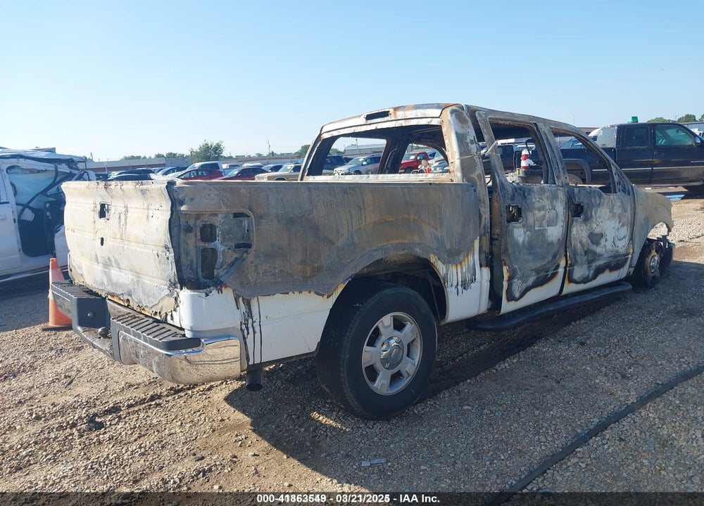 2010 FORD F-150 VIN: 1FTEW1C84AFB53183