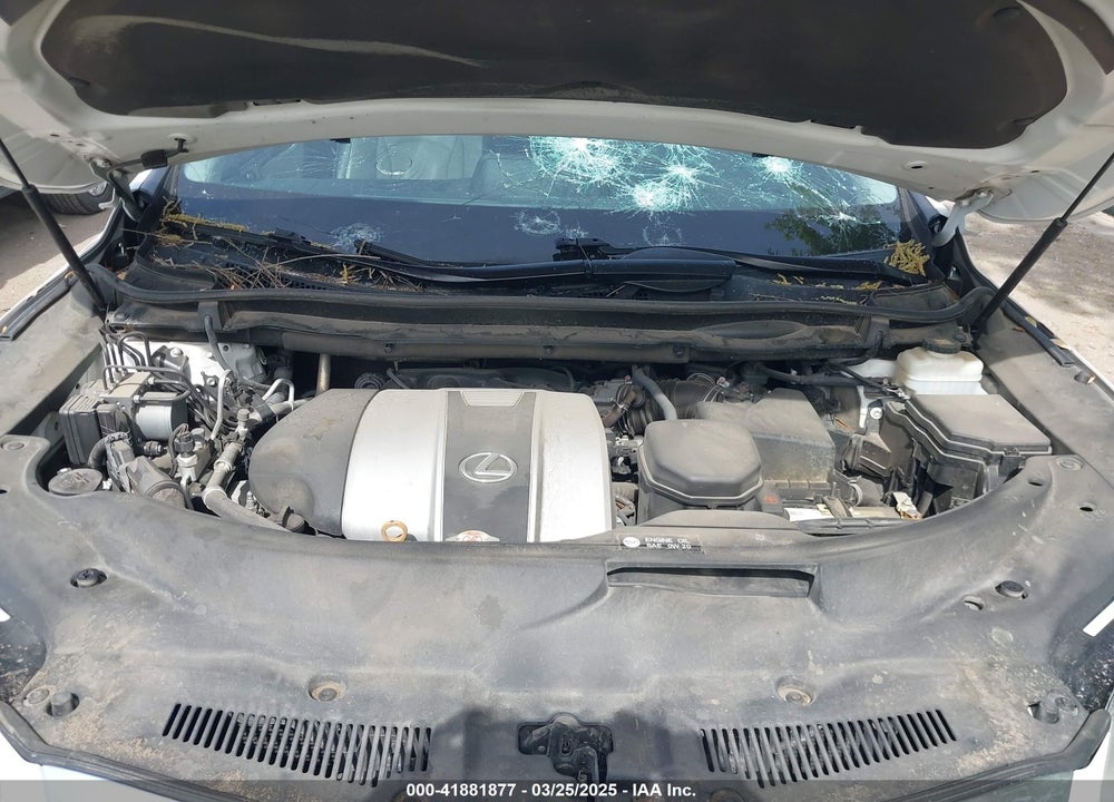2019 LEXUS RX 350 VIN: 2T2ZZMCA4KC126214