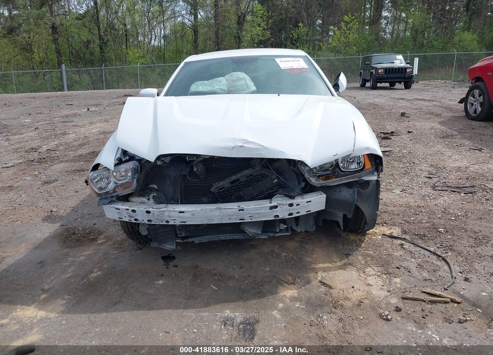 2014 DODGE CHARGER VIN: 2C3CDXBG9EH114266