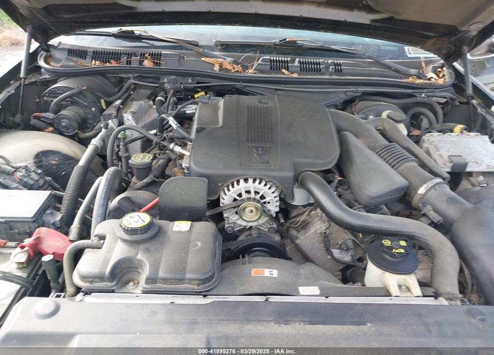 2006 FORD CROWN VICTORIA LX/LX SPORT VIN: 2FAFP74VX6X105598