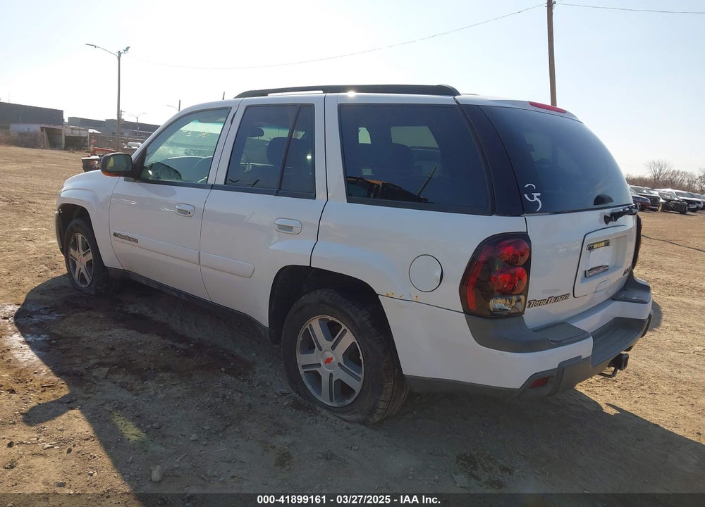 2004 CHEVROLET TRAILBLAZER LT VIN: 1GNDT13S842141055