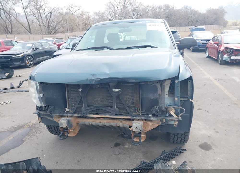 2009 CHEVROLET SILVERADO 1500 WORK TRUCK VIN: 1GCEK14X09Z258217