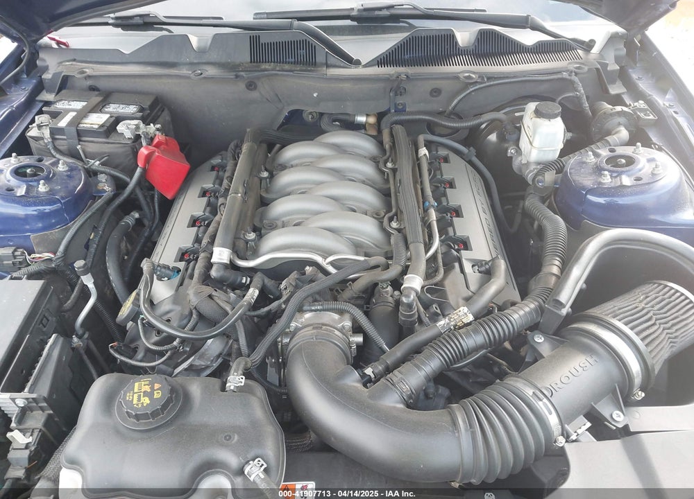 2014 FORD MUSTANG VIN: 1ZVBP8CF6E5202903
