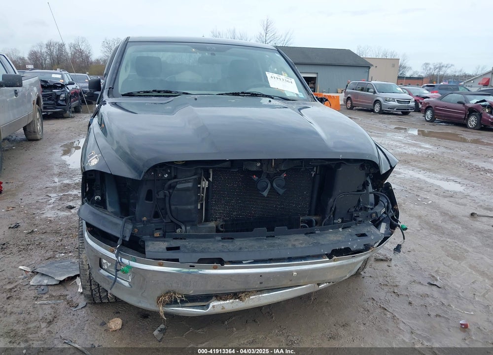 2009 DODGE RAM 1500 VIN: 1D3HV16P69J523973