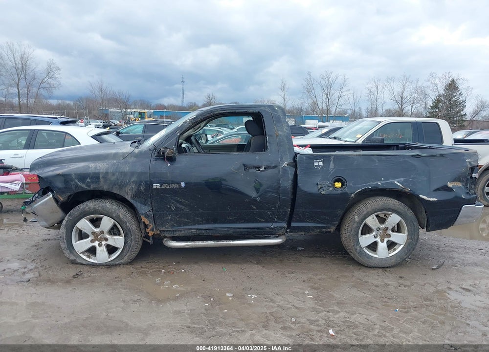 2009 DODGE RAM 1500 VIN: 1D3HV16P69J523973