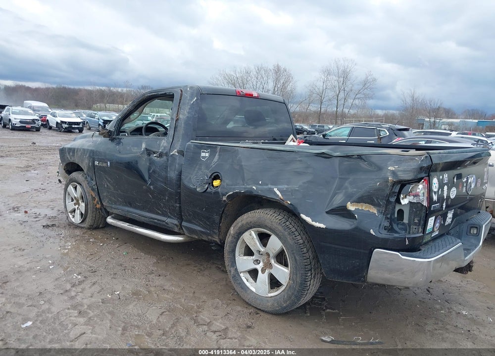 2009 DODGE RAM 1500 VIN: 1D3HV16P69J523973