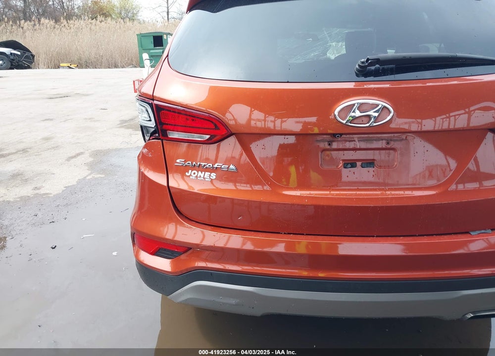 2017 HYUNDAI SANTA FE SPORT VIN: 5XYZT3LB9HG437689