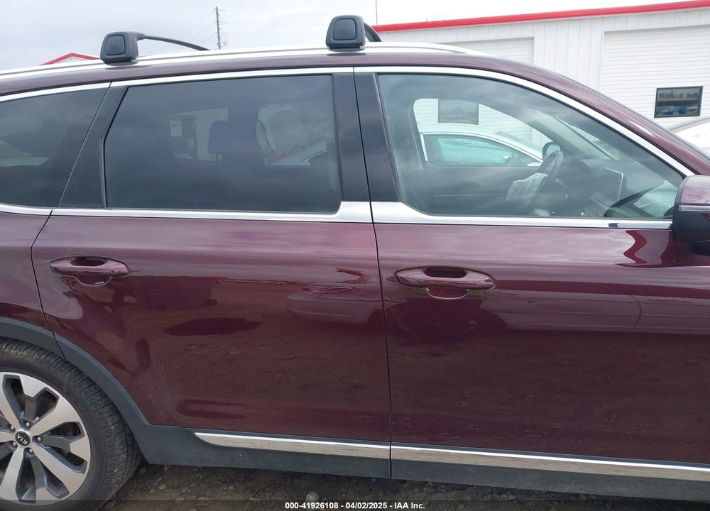 2020 KIA TELLURIDE VIN: 5XYP3DHC1LG056748