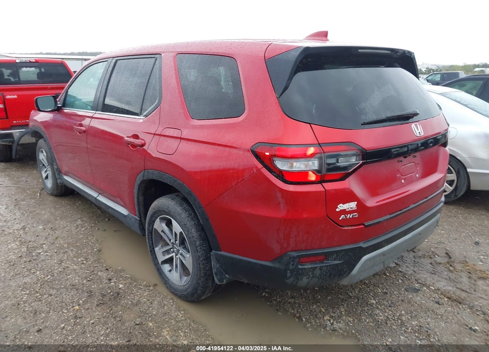 2024 HONDA PILOT VIN: 5FNYG1H53RB042701