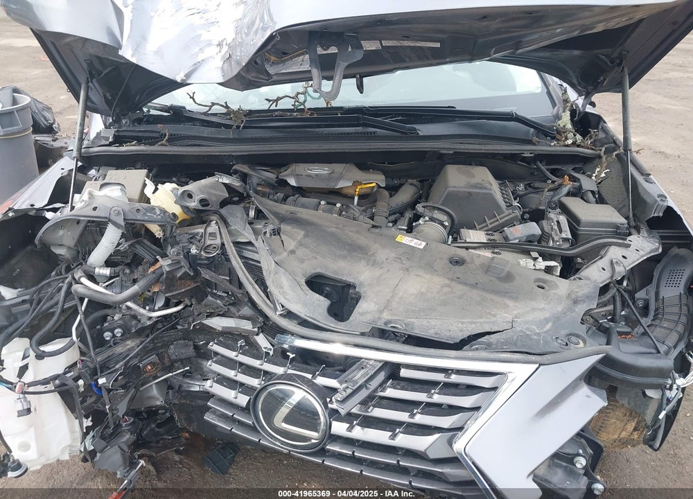 2019 LEXUS NX 300 VIN: JTJBARBZ3K2194159