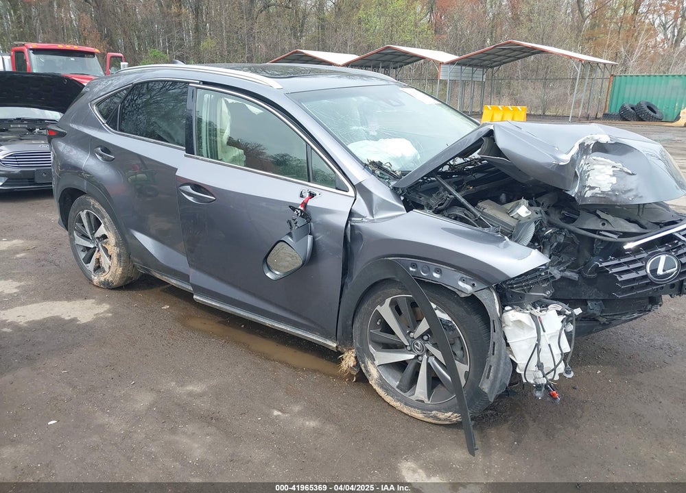 2019 LEXUS NX 300 VIN: JTJBARBZ3K2194159