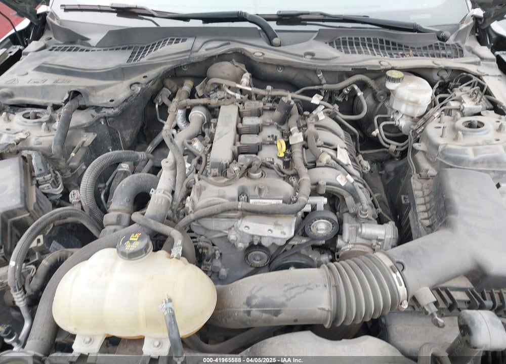 2021 FORD MUSTANG ECOBOOST FASTBACK VIN: 1FA6P8TH9M5141038