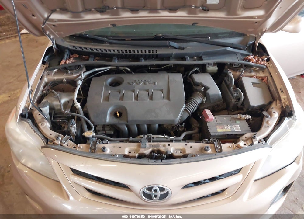 2011 TOYOTA COROLLA LE VIN: JTDBU4EE8B9146220