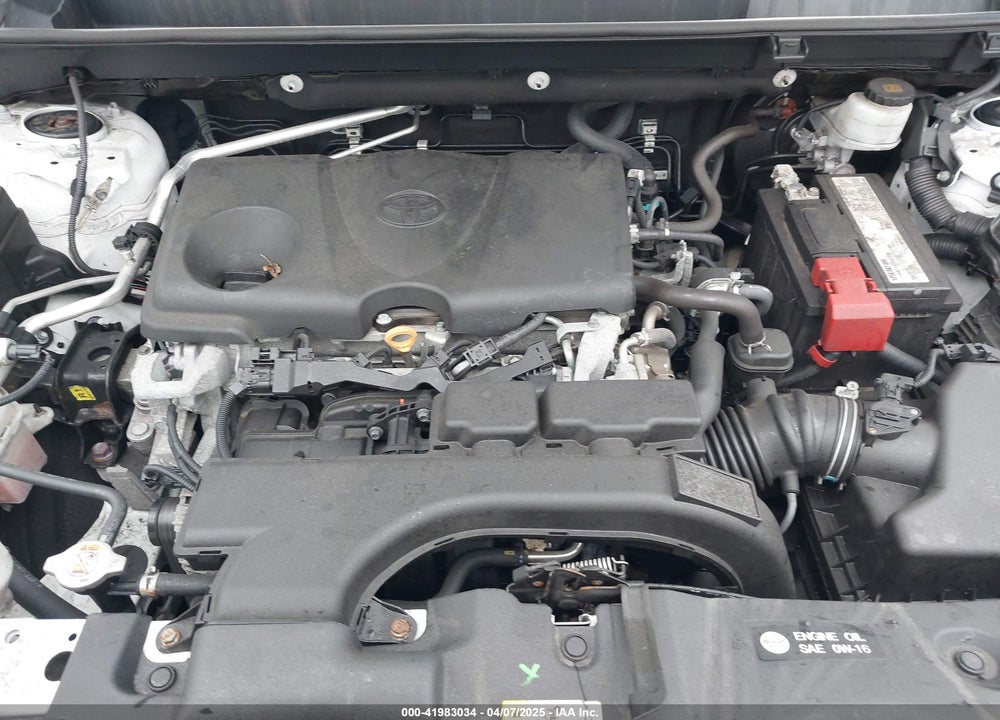 2019 TOYOTA RAV4 VIN: 2T3P1RFV6KW055277