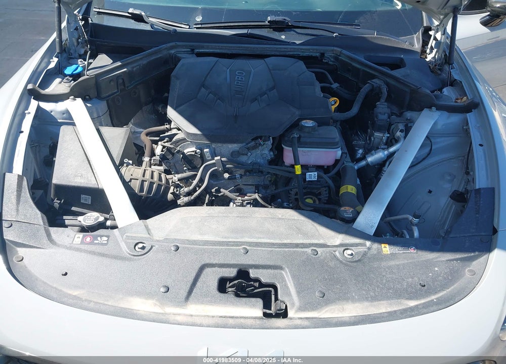 2023 KIA STINGER VIN: KNAE35LD6P6135805