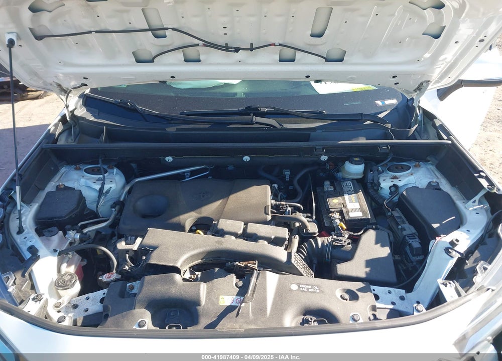 2019 TOYOTA RAV4 VIN: JTMA1RFV9KJ007728