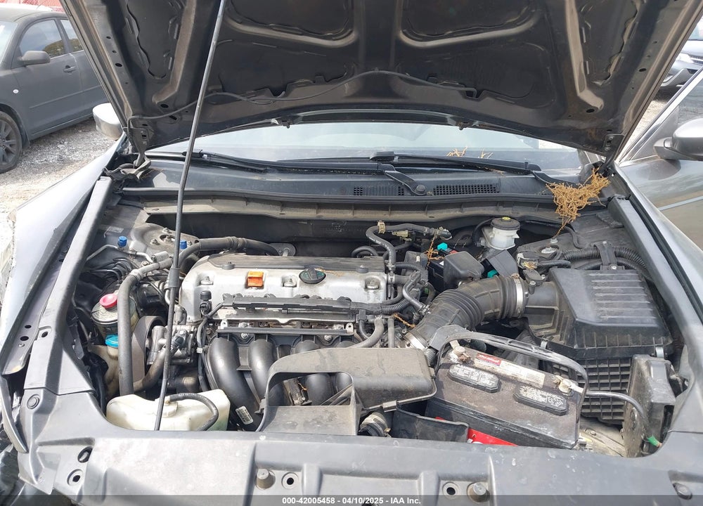 2010 HONDA ACCORD VIN: 1HGCP2F35AA109833