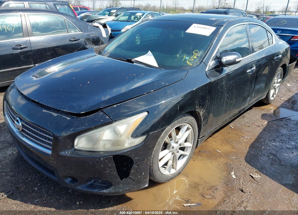 2009 NISSAN MAXIMA VIN: 1N4AA51E79C854980