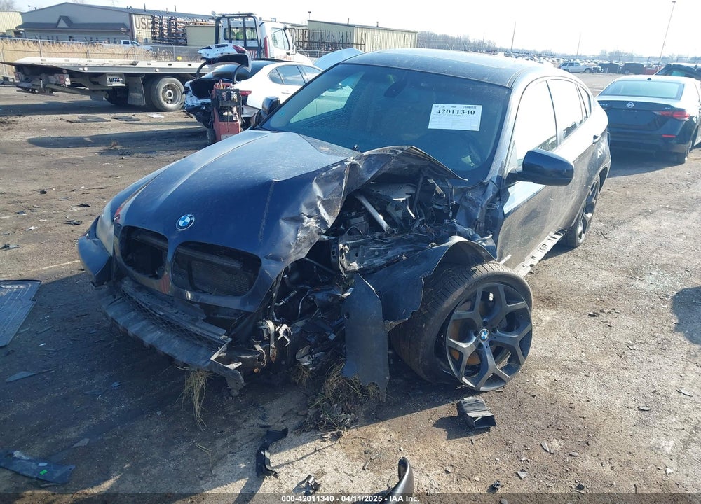 2009 BMW X6 VIN: 5UXFG43509L225176