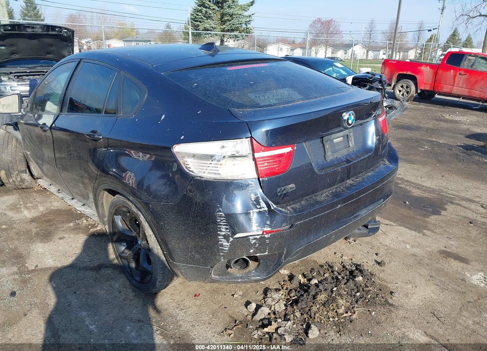 2009 BMW X6 VIN: 5UXFG43509L225176