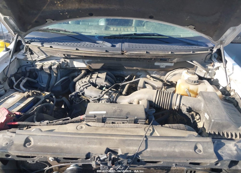 2013 FORD F-150 XL VIN: 1FTMF1CM9DKF51011