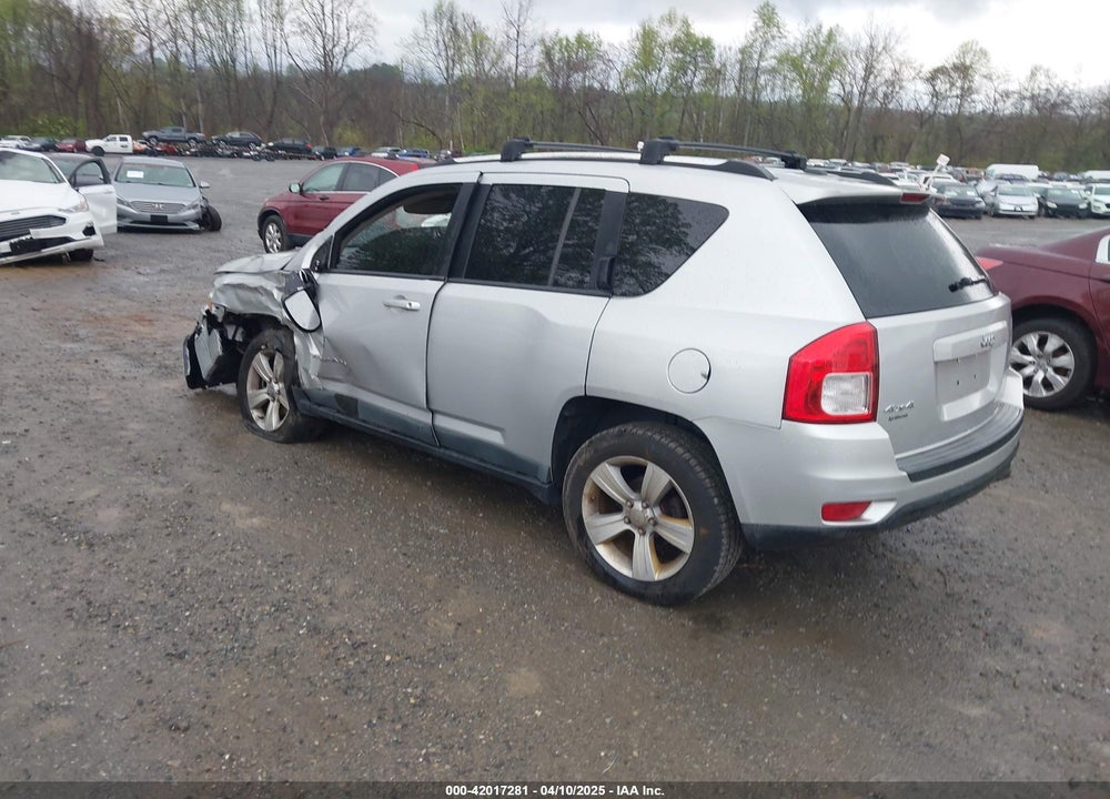 2011 JEEP COMPASS VIN: 1J4NF1FB1BD193820