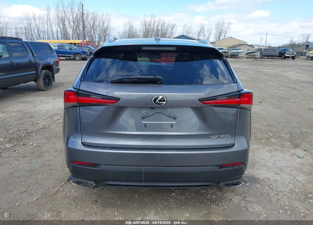 2021 LEXUS NX300 VIN: JTJDARDZ6M2257909