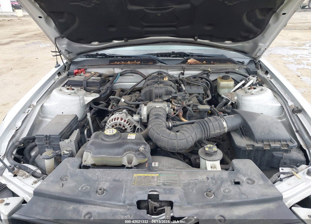 2006 FORD MUSTANG VIN: 1ZVFT80N965178235